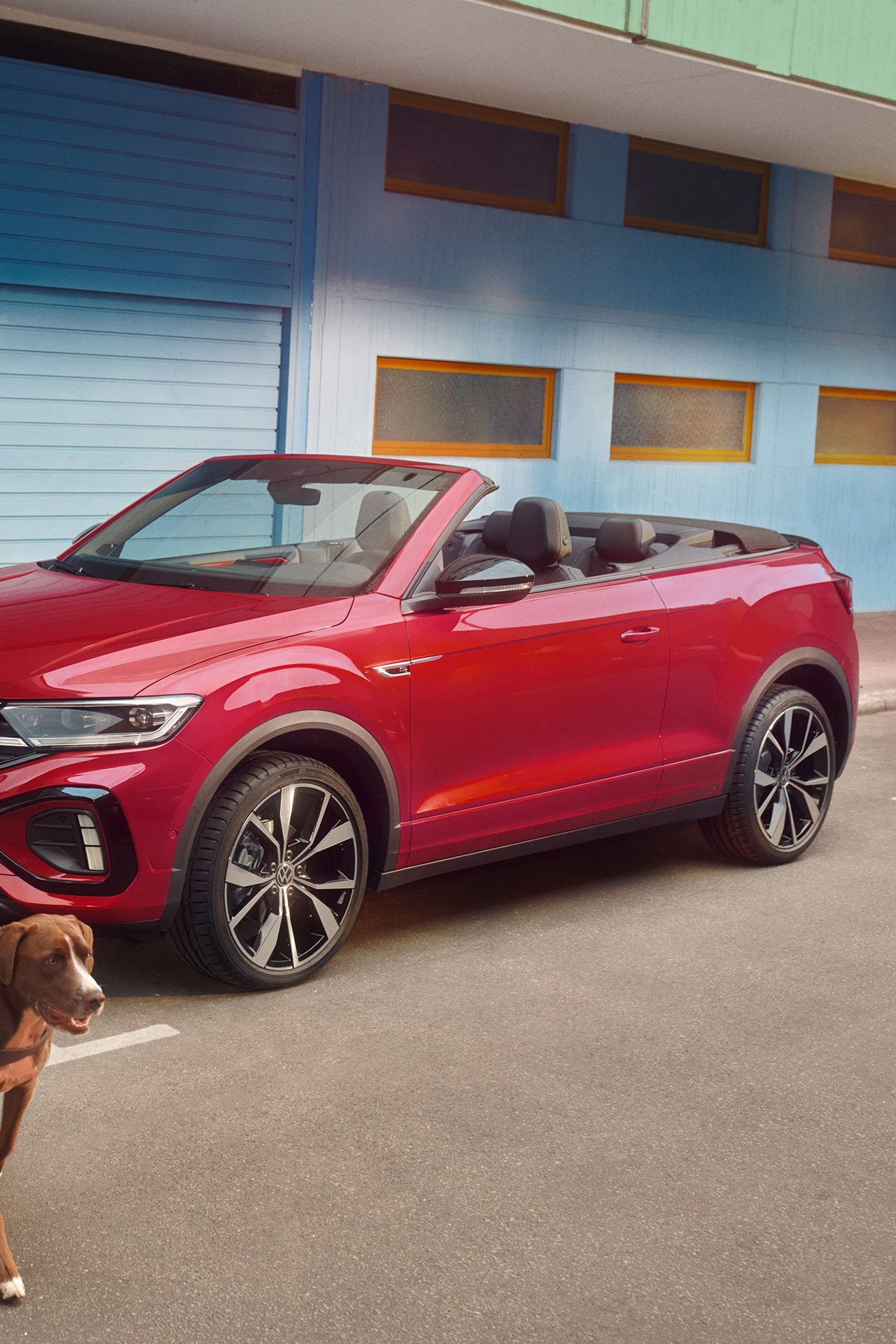 Frau geht mit zwei Hunden and der Leinen von einem roten VW T-Roc Cabrio weg