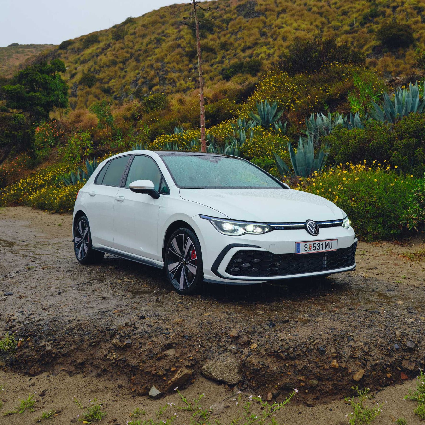Golf GTE auf einer Waldstraße 