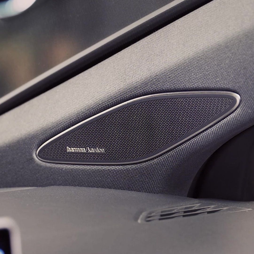 Nahaufnahme eines Harman Kardon Lautsprechers in einem Volkswagen Modell. Der Lautsprecher ist in die Türverkleidung integriert und zeigt feine Texturdetails.