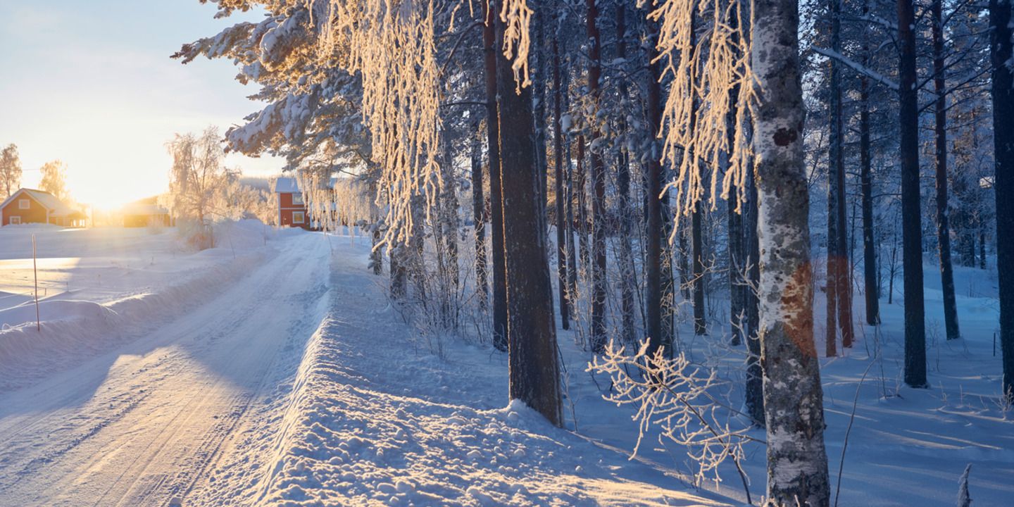 Eine verschneite Straße neben einem Wald an einem sonnigen Wintertag.