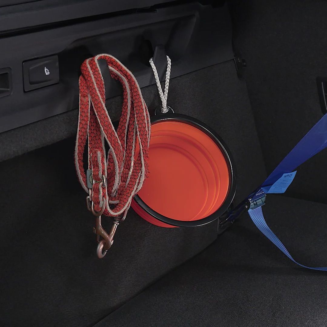 Ein zusammenklappbarer roter Hundenapf hängt neben einer roten Hundeleine an der Innenseite eines Autos. Beide sind an speziellen Haken befestigt. Daneben ist ein blauer Sicherheitsgurt für Hunde angebracht.