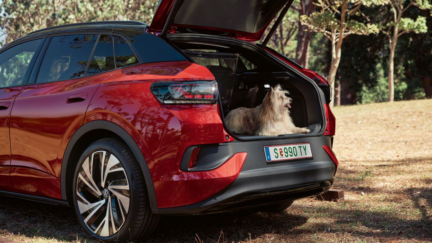 Ein Hund liegt im Kofferraum des ID.4 GTX und schaut heraus.