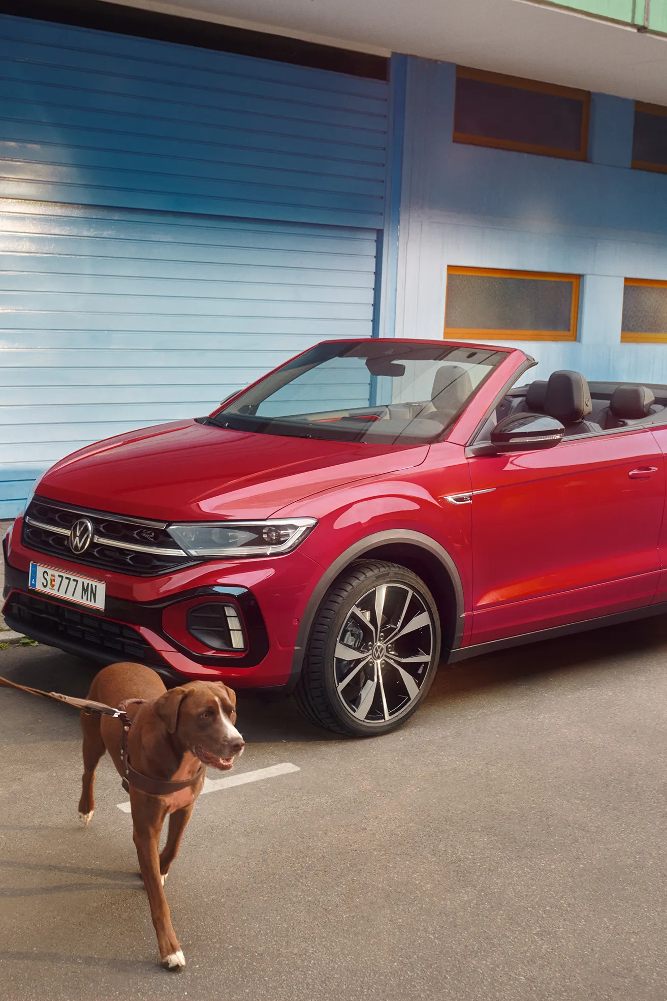 Frau geht mit zwei Hunden and der Leinen von einem roten VW T-Roc Cabrio weg