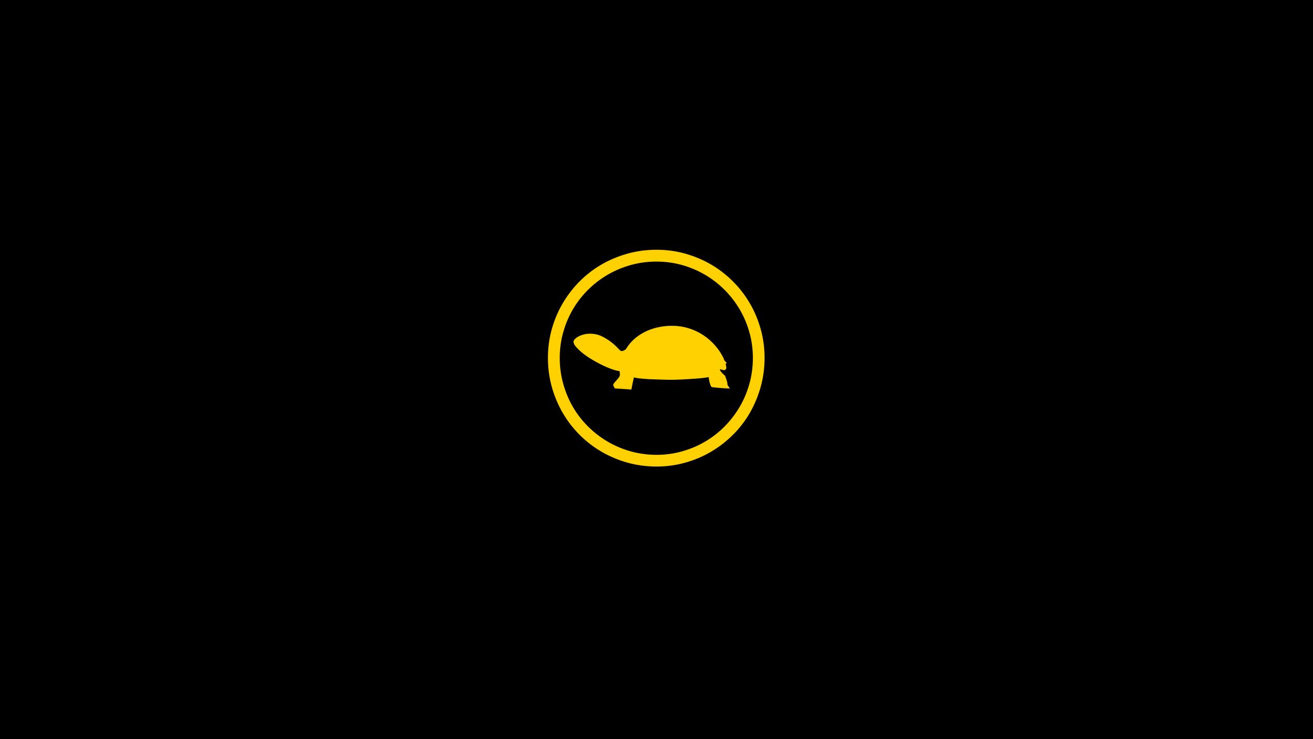 Ein gelbes Symbol mit einem stilisierten Bild einer Schildkröte vor einem schwarzen Hintergrund. Das Symbol bedeutet dass die Fahrleistung eingeschränkt ist.