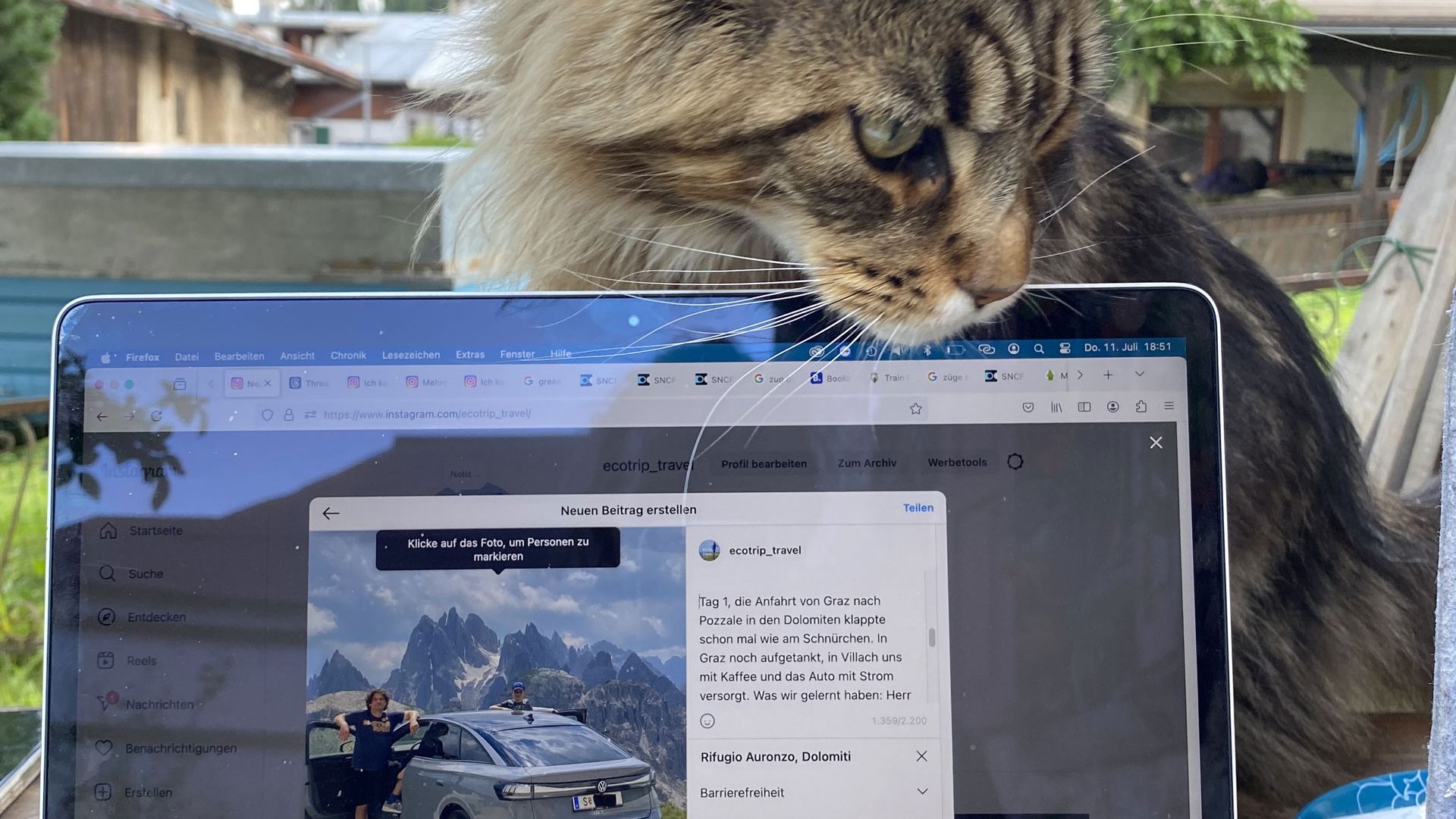 Eine Katze sitzt neben einem Laptop, auf dessen Bildschirm ein Auto mit einer Landschaft im Hintergrund angezeigt wird. Die Katze schaut neugierig auf den Laptopbildschirm. Im Hintergrund ist ein Garten mit einem Baum zu sehen.
