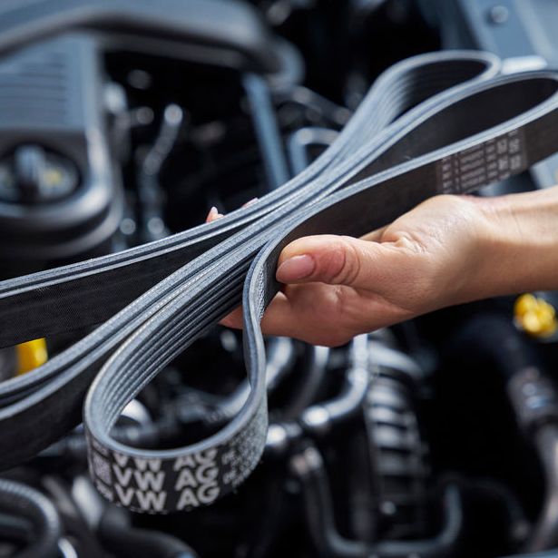 Totalaufnahme von einem Volkswagen Zahnriemen