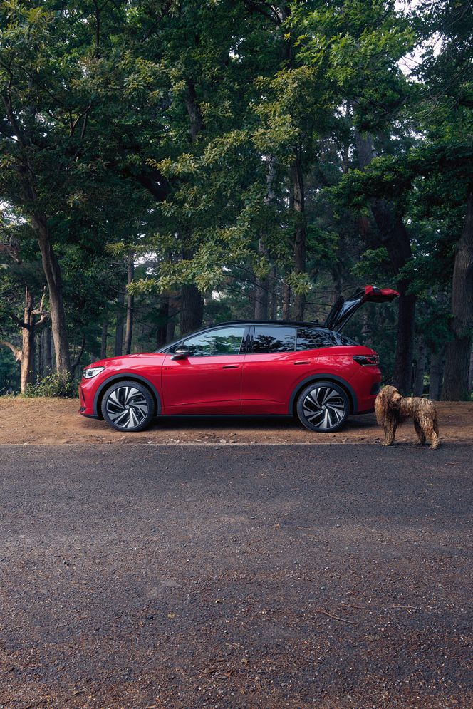 Ein roter ID.4 GTX steht auf einem Parkweg mit geöffnetem Kofferraum. Neben dem Auto befindet sich ein Hund. Im Hintergrund sind hohe, grüne Bäume zu sehen.